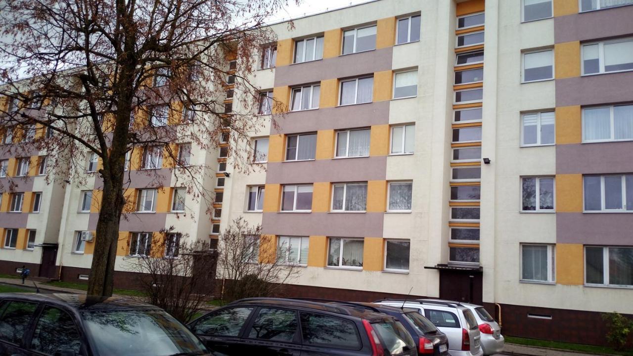 Bright Apartment On Top Паневежис Екстер'єр фото